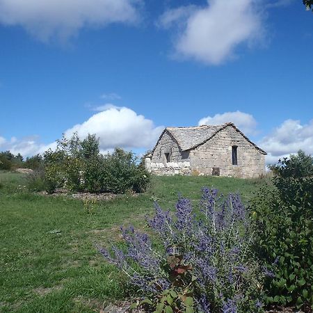 Chapelle Du Domaine De Bombes Βίλα Saint-Rome-de-Dolan Εξωτερικό φωτογραφία